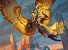 Companion of the Trials