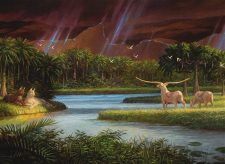 Gift of Paradise