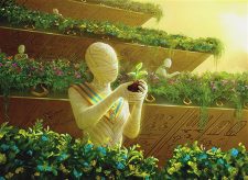 Harvest Season