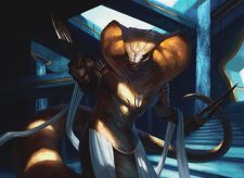 Hooded Brawler
