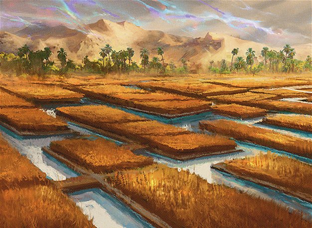 Irrigated Farmland