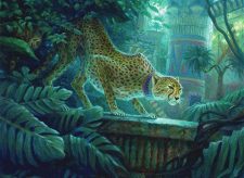 Pouncing Cheetah
