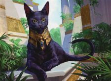 Sacred Cat