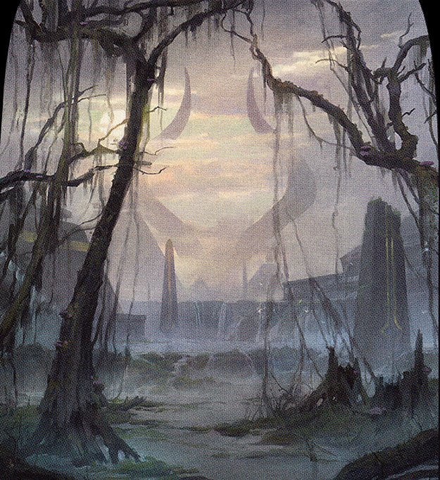 Swamp