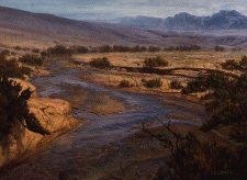 Swamp