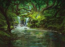 Woodland Stream