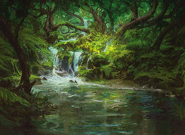 Woodland Stream