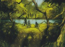 Cradle of Vitality