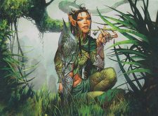 Druid of the Anima