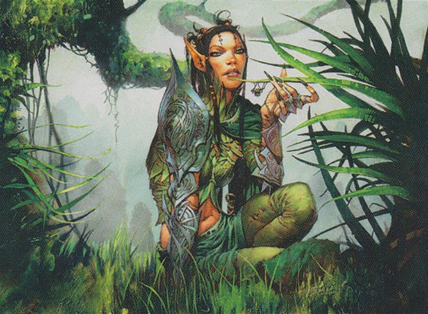 Druid of the Anima