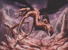 Kathari Screecher