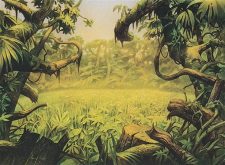Plains