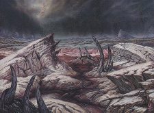 Swamp