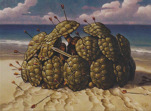 Tortoise Formation