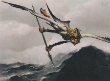 Waveskimmer Aven