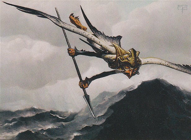 Waveskimmer Aven