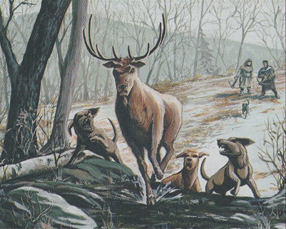 Bounty of the Hunt