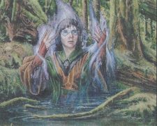 Fyndhorn Druid