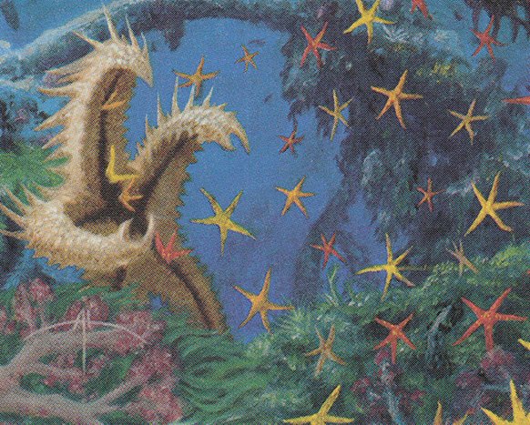 Spiny Starfish