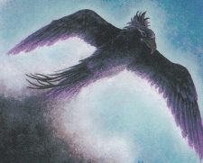 Storm Crow