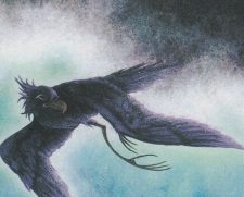 Storm Crow