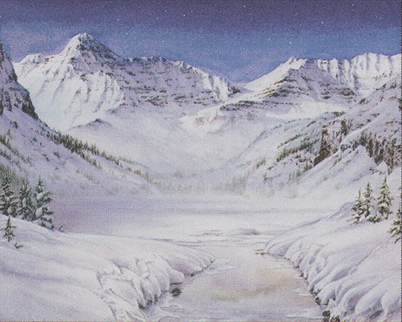 Winter’s Night