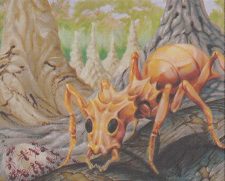 Yavimaya Ants