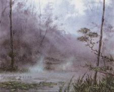 Llanowar Wastes