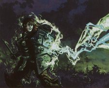 Shield of Duty and Reason