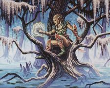 Urborg Elf