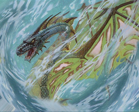 Whirlpool Drake