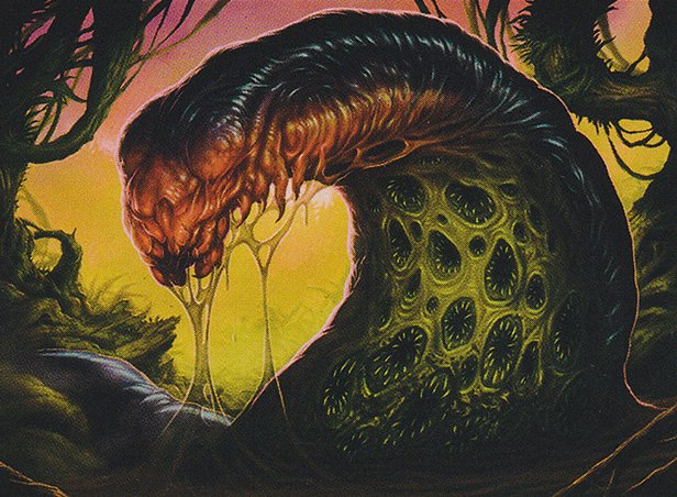Putrid Leech