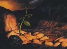 Reborn Hope