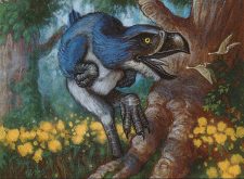 Hunting Moa