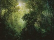 Llanowar Reborn