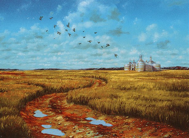 Plains