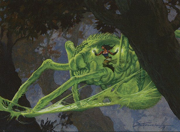 Spider Umbra