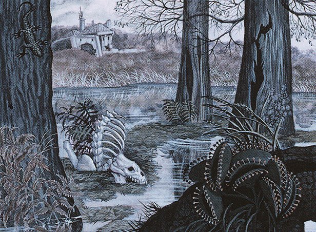 Swamp