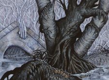 Swamp
