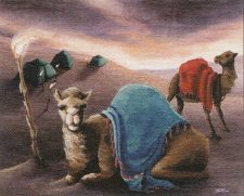 Camel