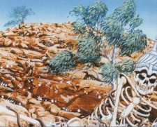 Diamond Valley