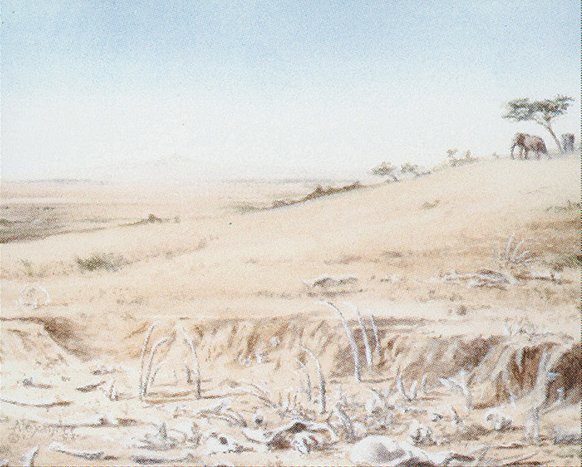 Elephant Graveyard