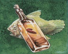 Fishliver Oil
