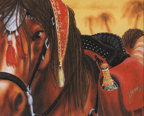 Jandor’s Saddlebags