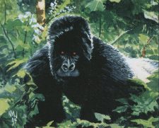Kird Ape