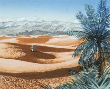 Oasis