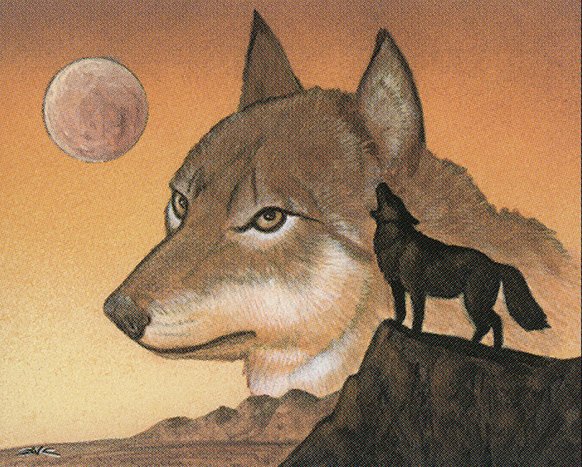 Wyluli Wolf