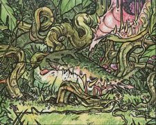 Carnivorous Plant