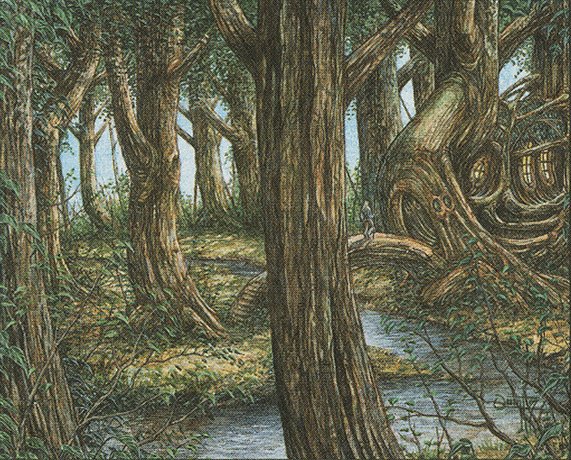 Forest