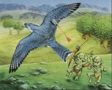 Freewind Falcon
